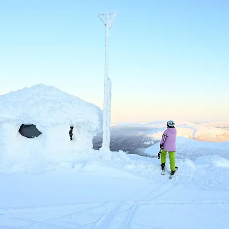 Koo * Ylläs