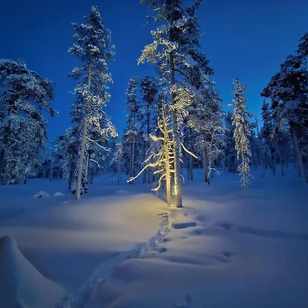 Koo Ylläs